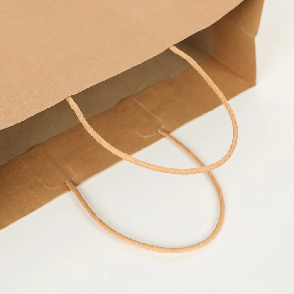 Recycled Brown Shopping Bag Plain Kraft Paper Takeaway Bag with Twisted Handle