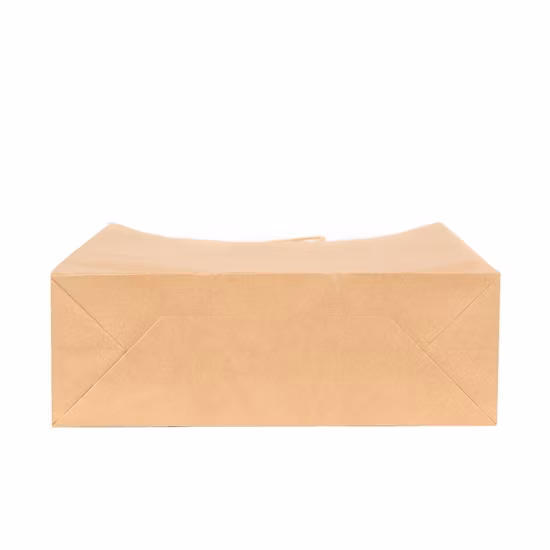Recycled Brown Shopping Bag Plain Kraft Paper Takeaway Bag with Twisted Handle