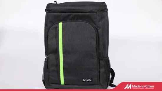 Custom Logo Food Delivery Bag Picnic Backpack Cooler Bag for Foods or Drinks